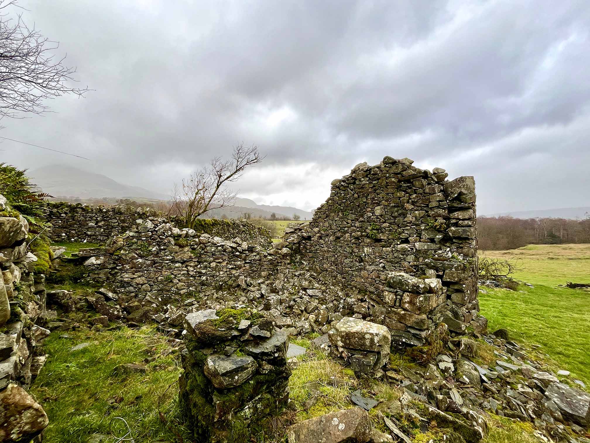 Stone ruins in a field