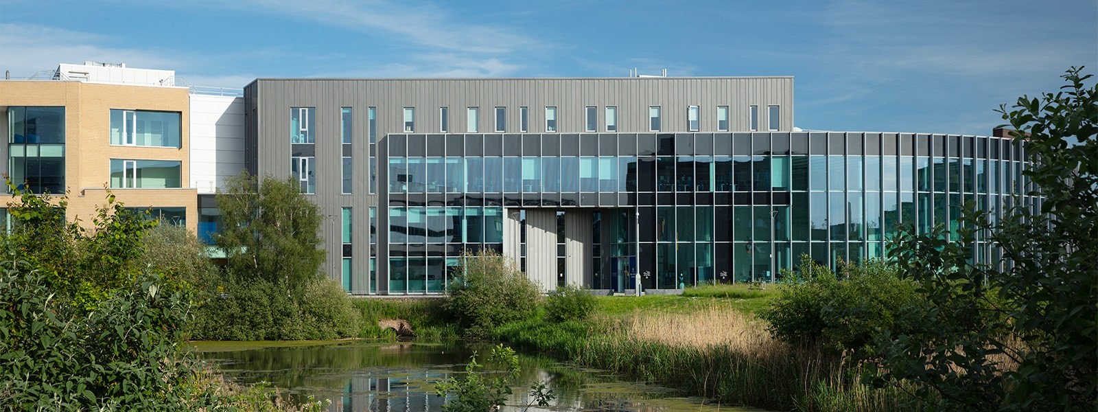 Delph Pond and Isaac Newton Building