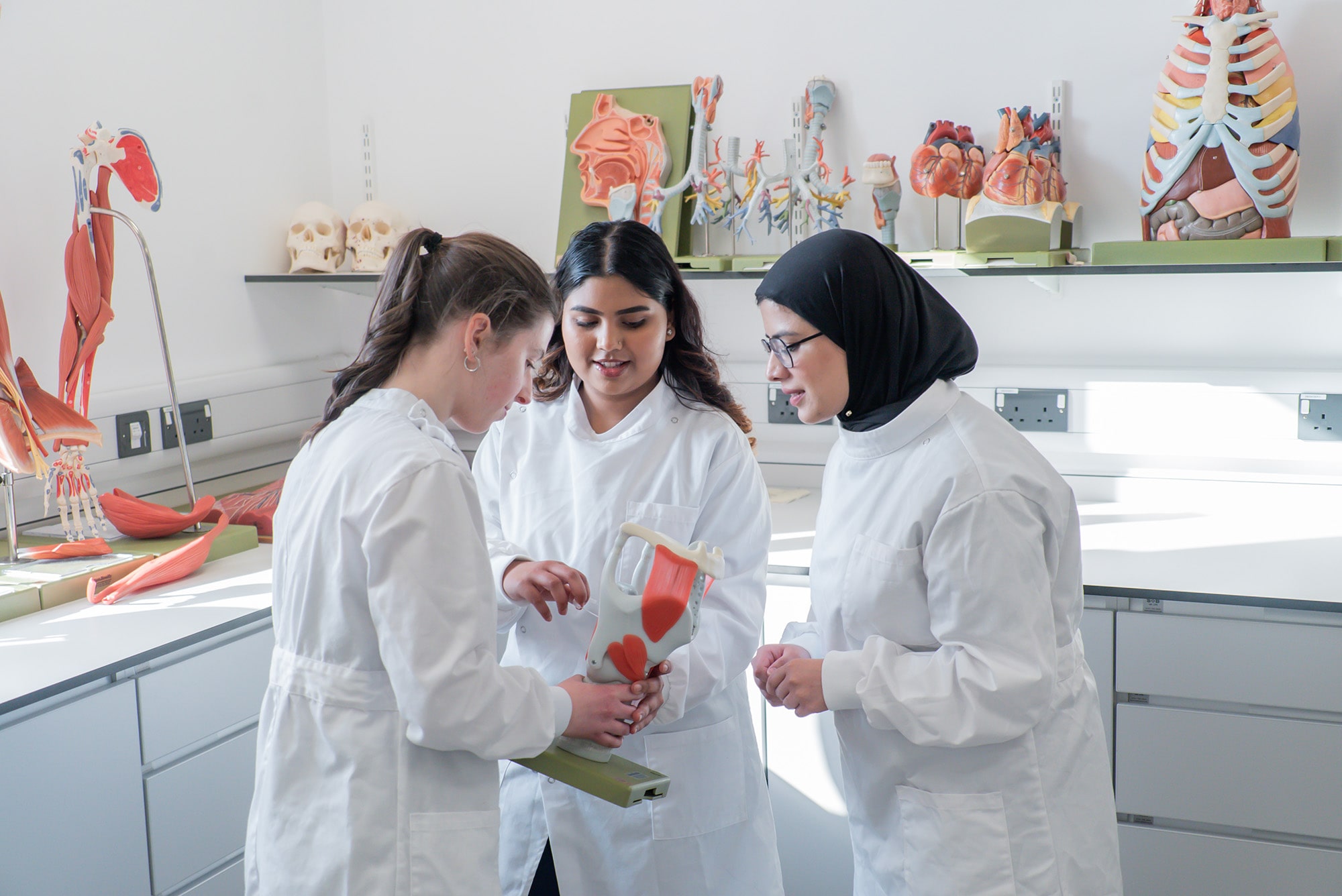 Three students in white lab coats stood in a circle with one holding a medical model