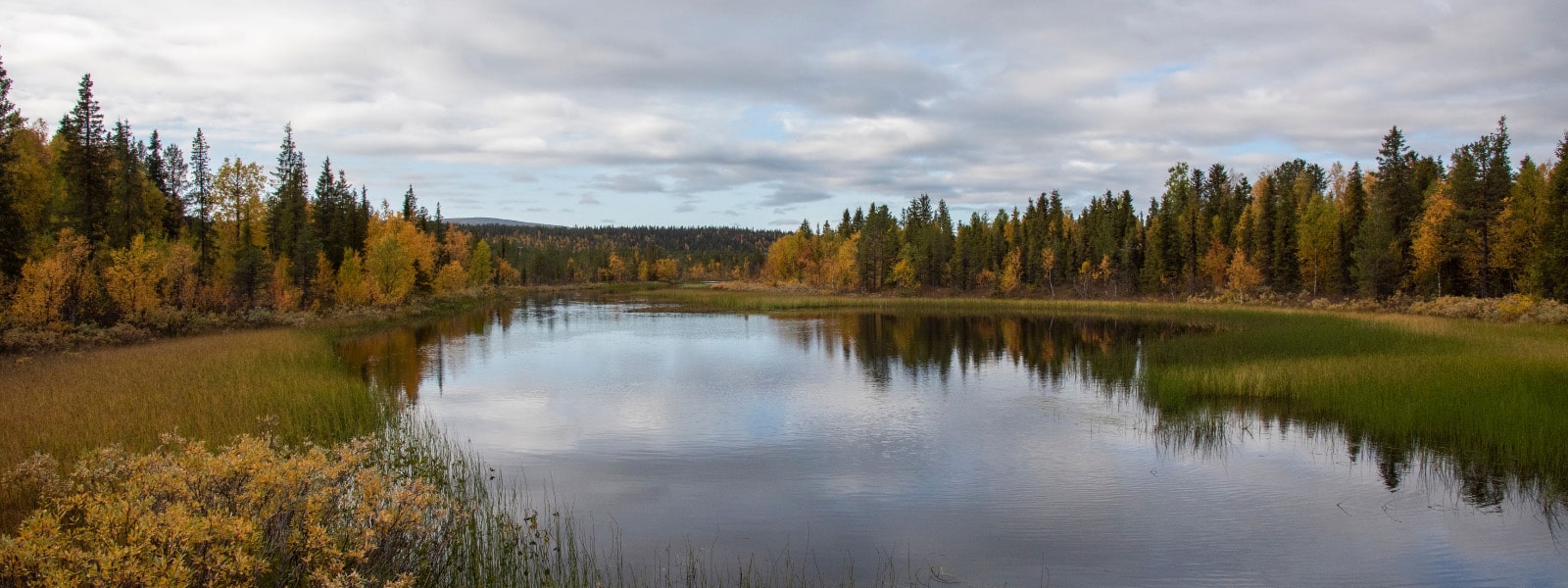 Image of water management