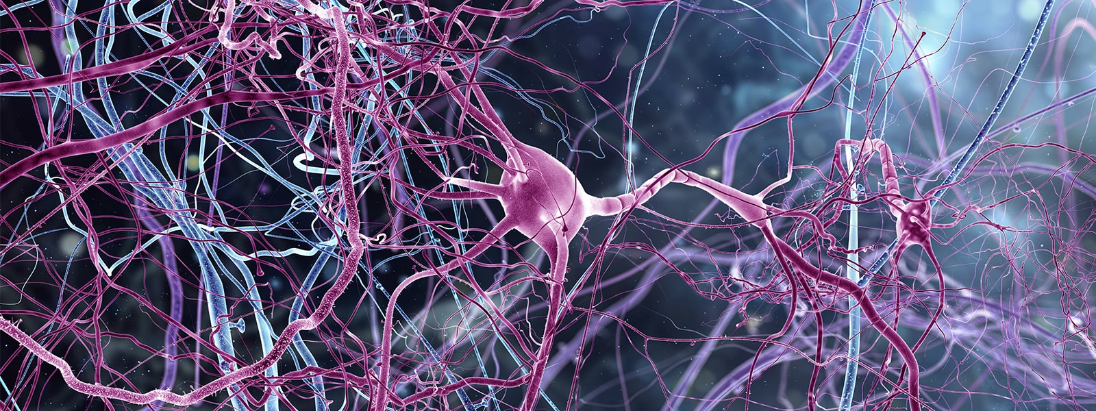Computer generated image of brain cells