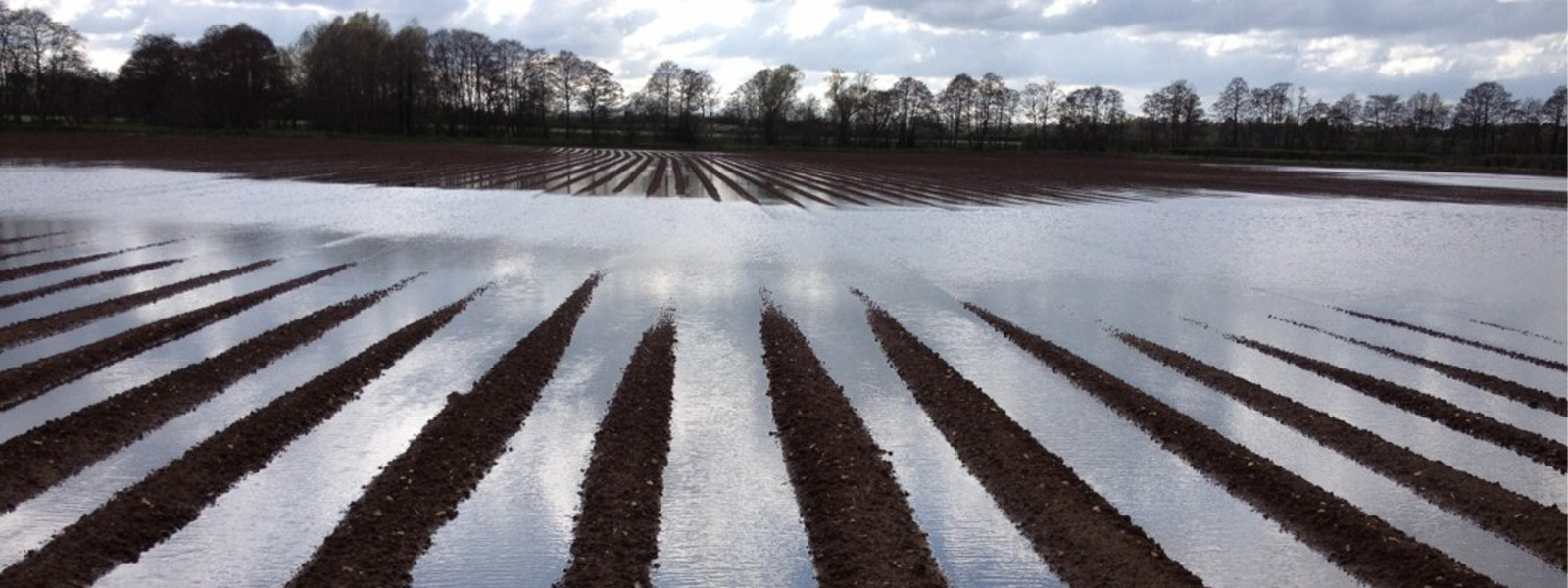 A water-logged ploughed field