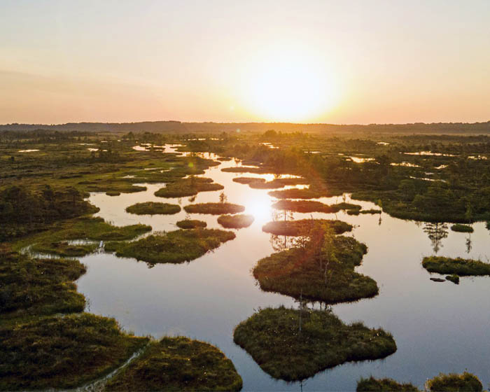 Wetlands
